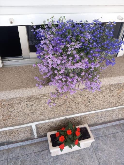 Apartamento En San Vicente De او غروف المظهر الخارجي الصورة